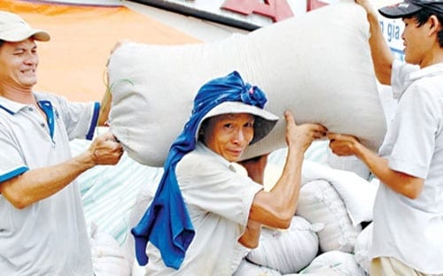 xuat khau gao viet sap pha ky luc 2011
